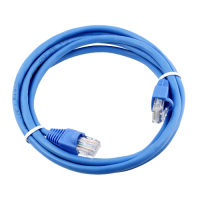 Networking Cables